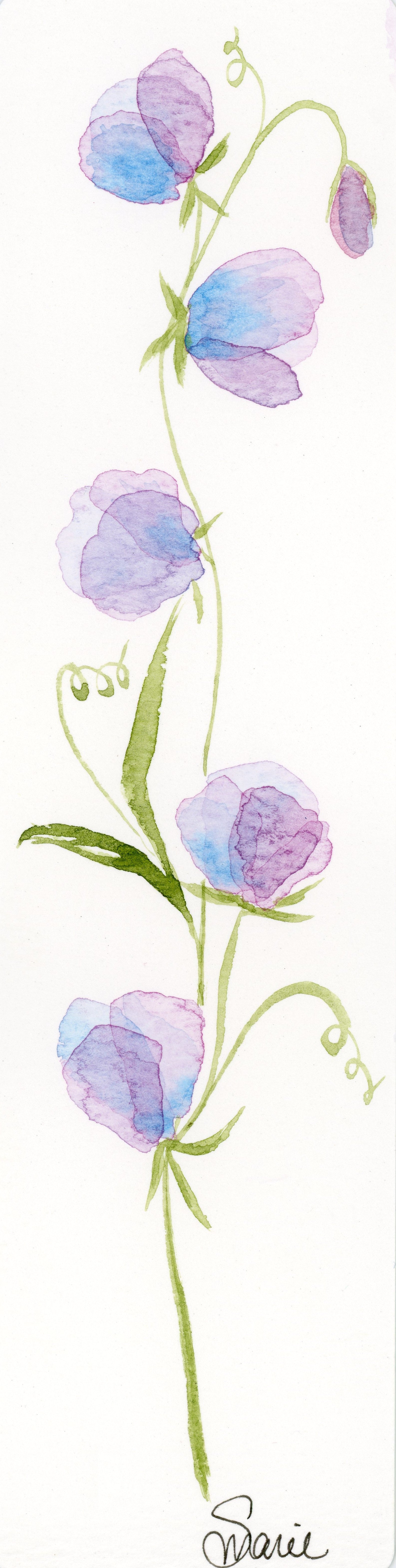 Purple and Blue Sweet Pea-