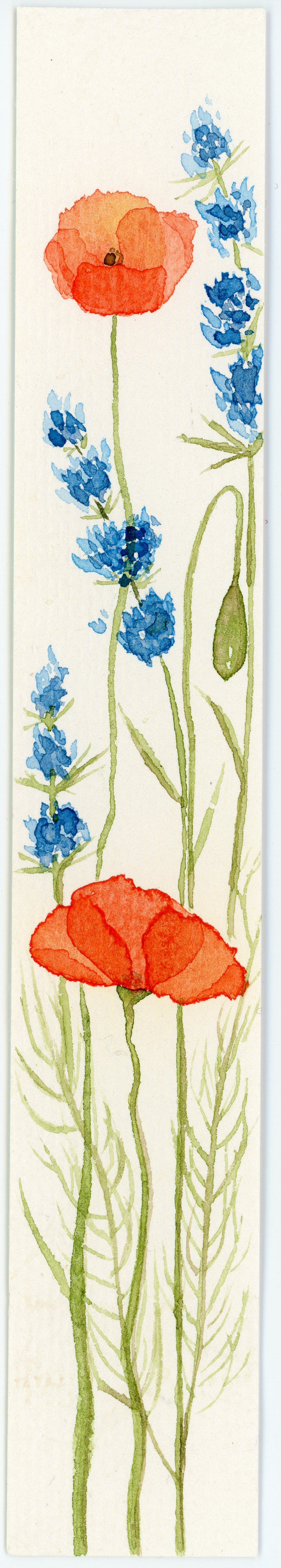Poppy and blue wildflower